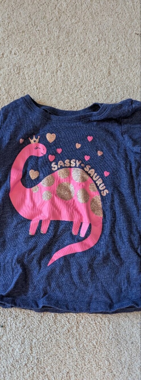 Sassy Saurus Pink Dino Graphic Kids Top